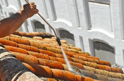 Démoussage de toiture à Issé